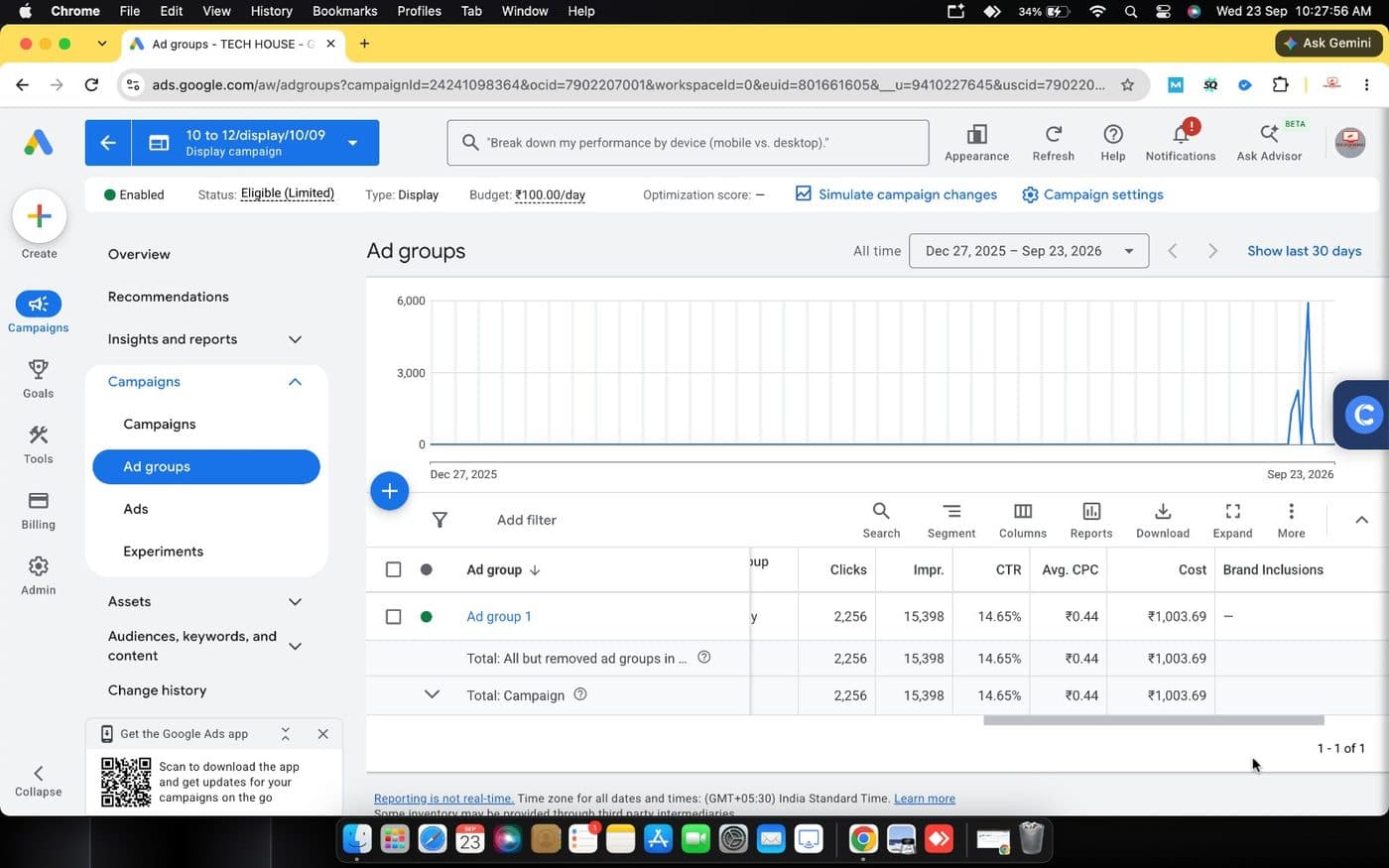 Google Ads campaign results for DIDM